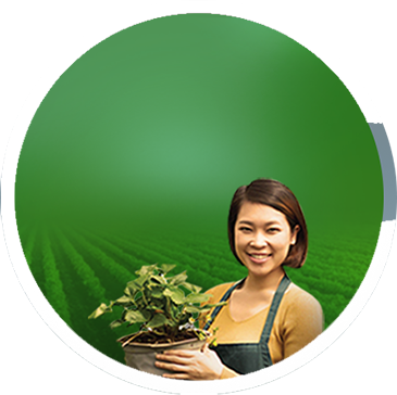 sustainabiliy